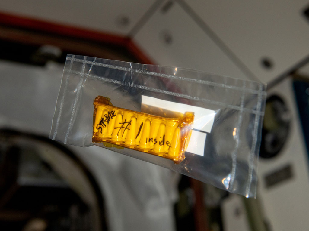 A small plastic pack labeled “Stable #1 inside” with capsules inside floats on the ISS.