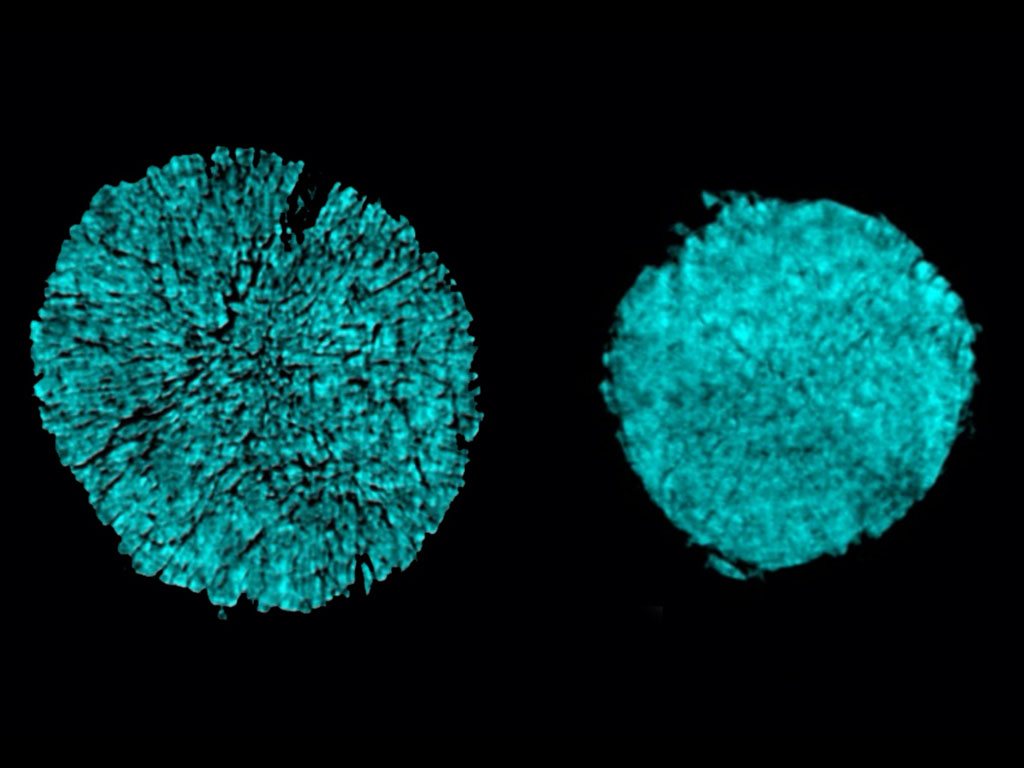 X-ray tomography images of the lithium metal batteries showing show cracking of a particle in one electrode of a battery cell that used a conventional electrolyte