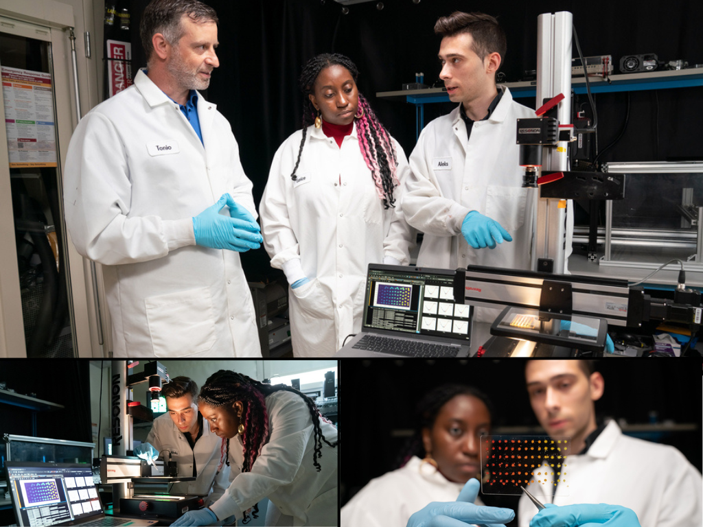 Collage of three photos of the researchers